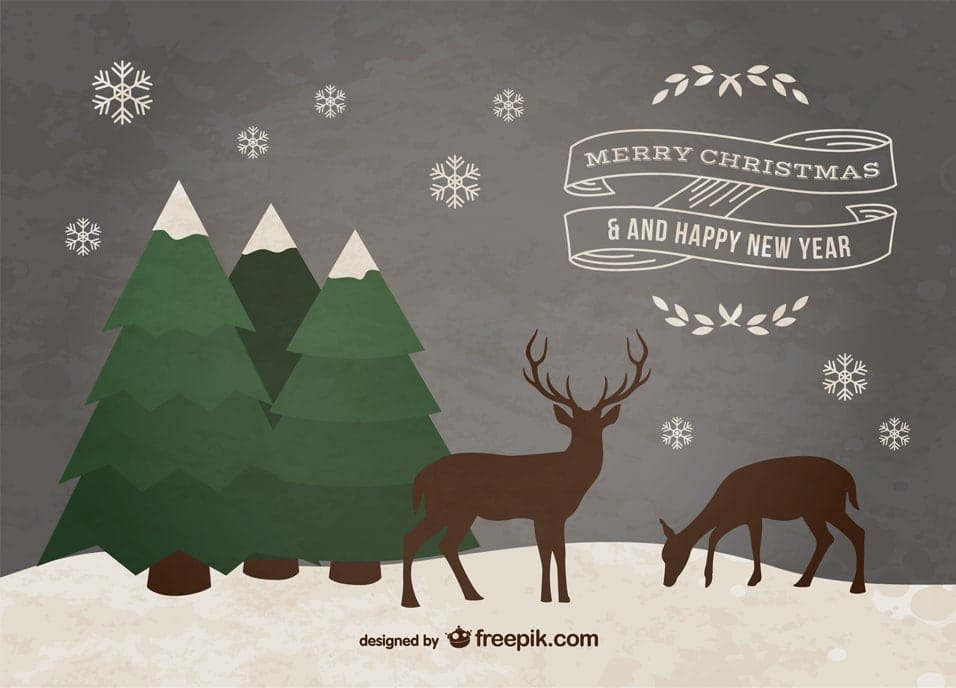 Merry Christmas Happy New Year Card