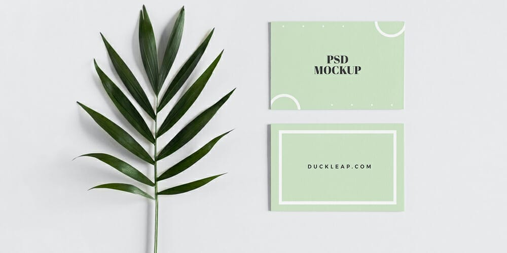 Minimal Front and Back Business Card Mockup