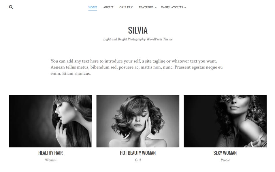 Silvia Responsive WordPress Theme
