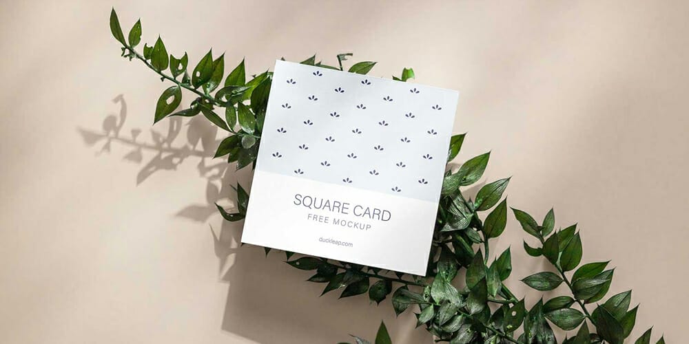 Square Card on a Plant Mockup