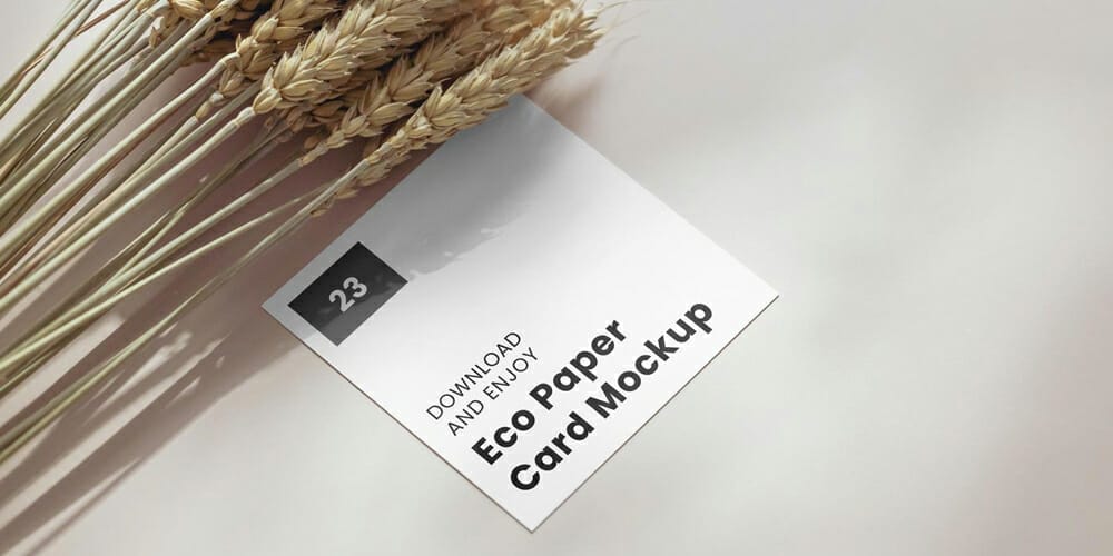 Square Card with Cereal Mockup