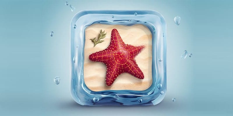 Create a Beautifully Designed 3D Starfish Icon