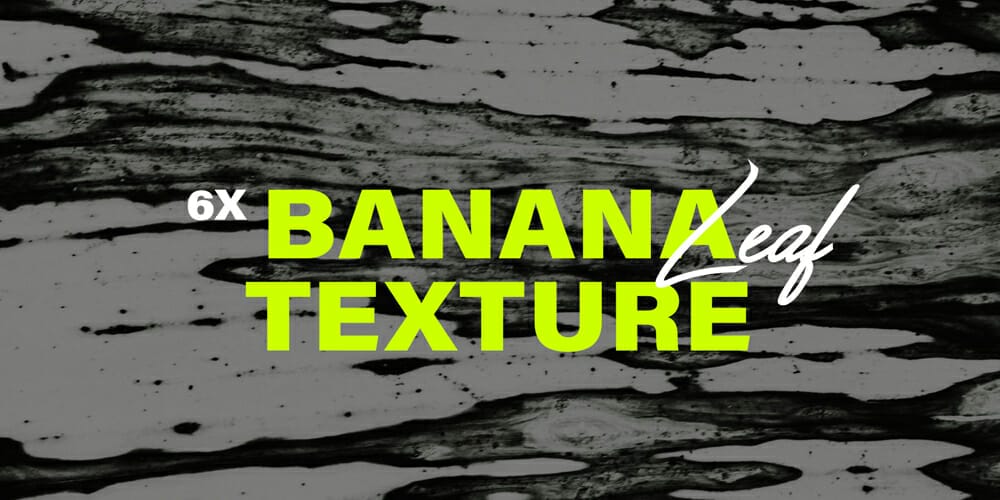 Banana Leaf Textures