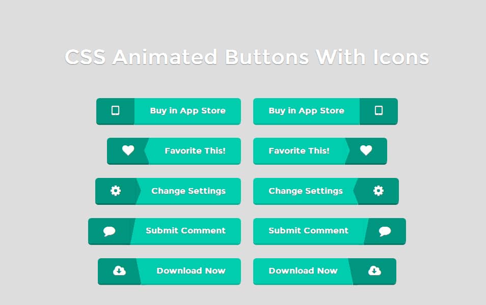 CSS Animated Buttons With Icons