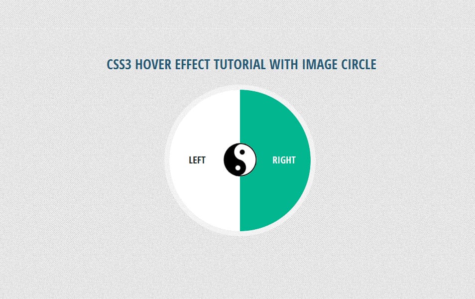 CSS3 Hover Effect Tutorial with Image Circle