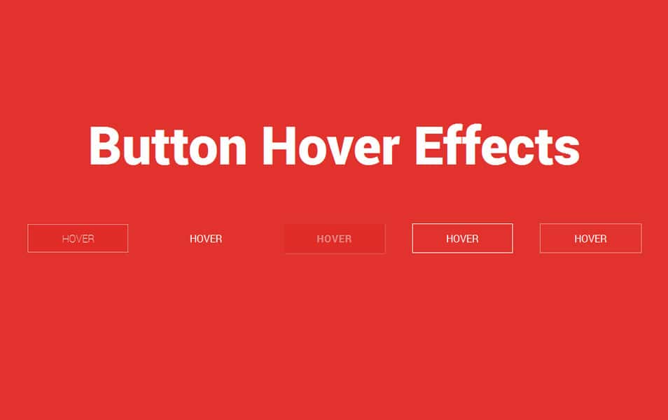 Collection of Button Hover Effects