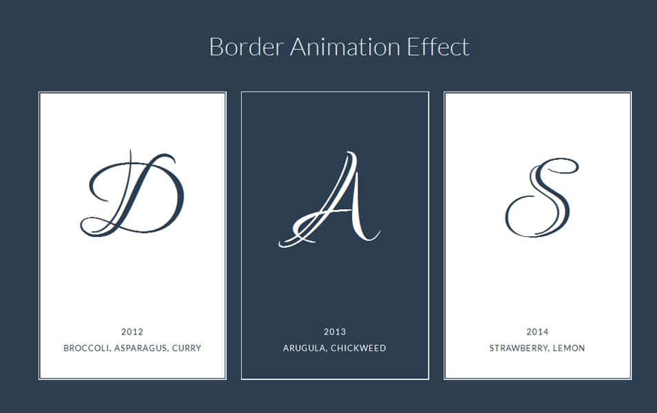 Creating a Border Animation Effect with SVG and CSS