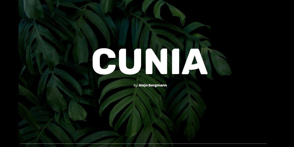 Best Free Display Fonts 5