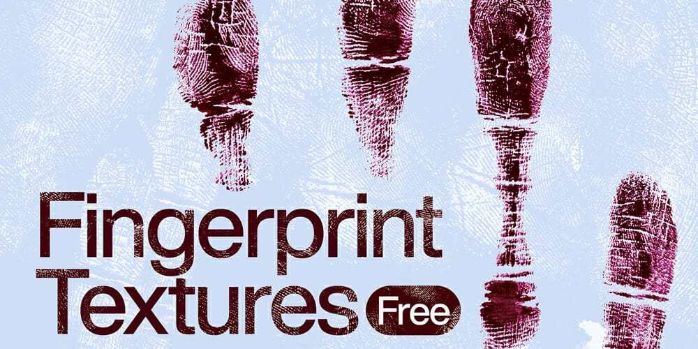 Fingerprint Textures
