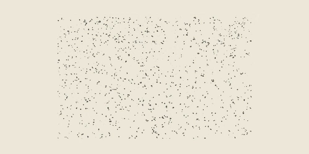 Free High Resolution Grain Textures