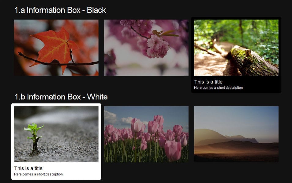  HoverMe - Collection of CSS3 Hover Effects 