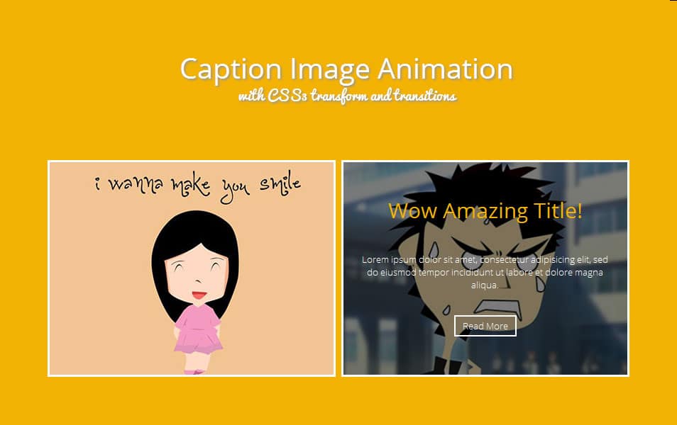 Image Caption Animation with CSS3 Transform and Transitions