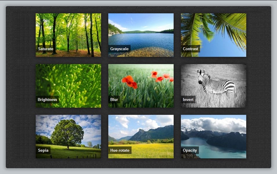 Simple hover effects with CSS(webkit) filters