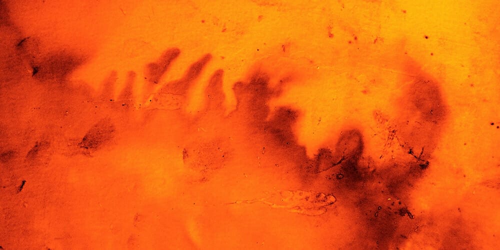 Watercolor Texture Overlay