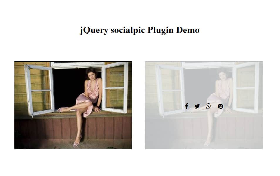 jQuery socialpic Plugin