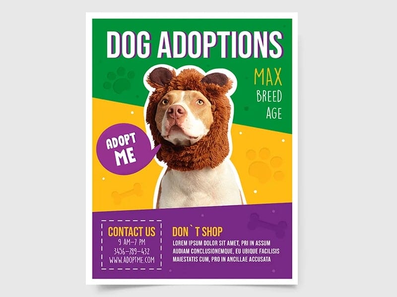 Dog-Adoption-Flyer