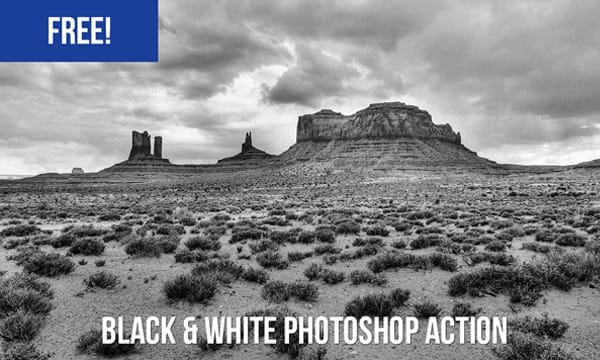 Free High Contrast Black & White Photoshop Action