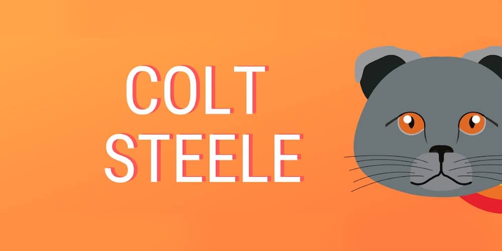 Colt Steele