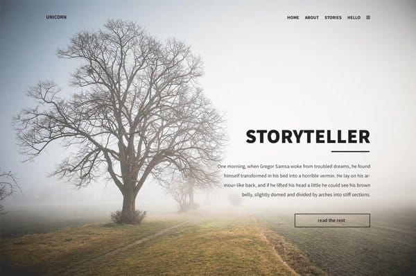 Unicorn Template PSD