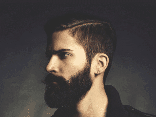 Best Free Business WordPress Themes 2019