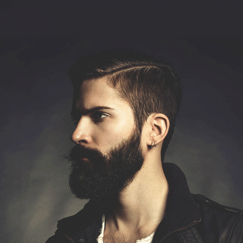 Best Free Business WordPress Themes 2019