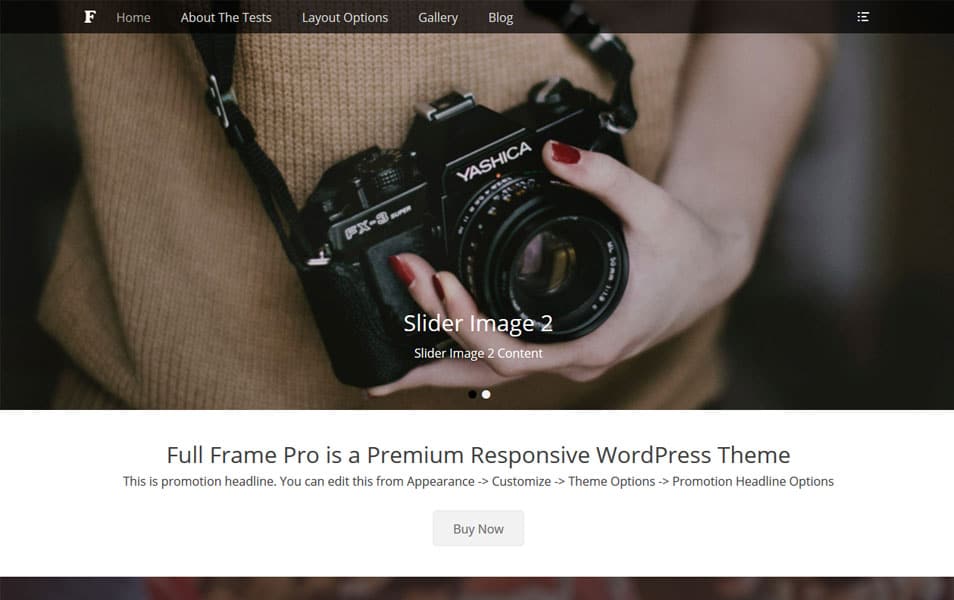 Full Frame WordPress Theme