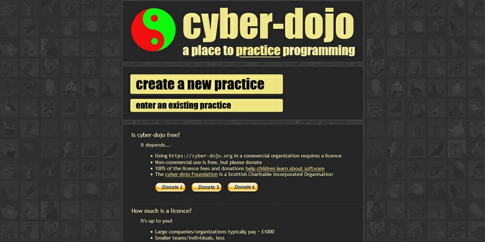 Best Places to Learn Web Development 122 Cyber Dojo