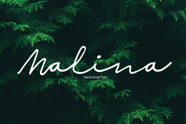 Malina Handwritten Script Font