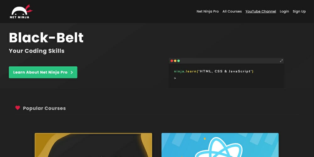 Best Places to Learn Web Development 34 The Net Ninja