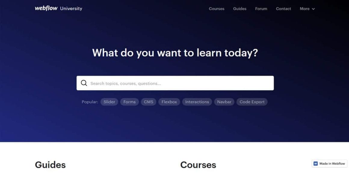 Best Places to Learn Web Development 1 Webflow University