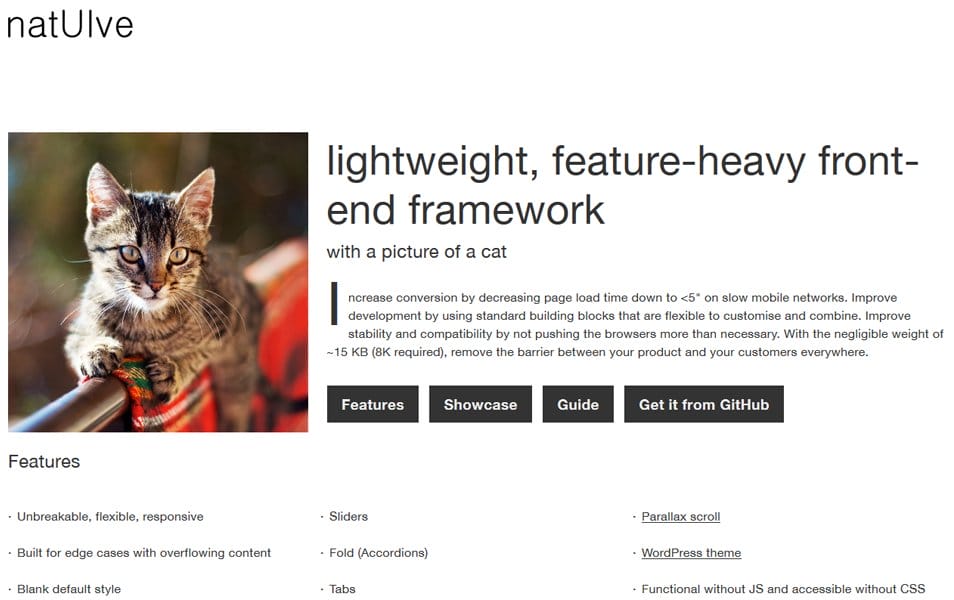 100+ Best CSS Frameworks for Responsive Design 63 natUIve
