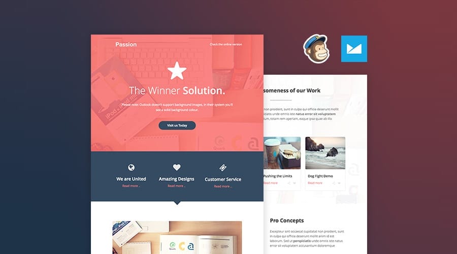 The Passion Email Template