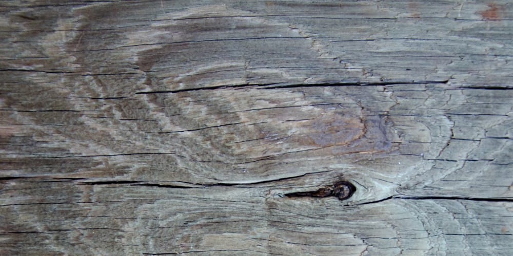 Wood Grain Texture 