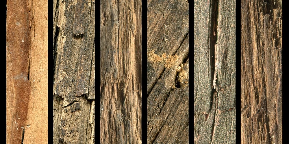  Wood Texture Pack