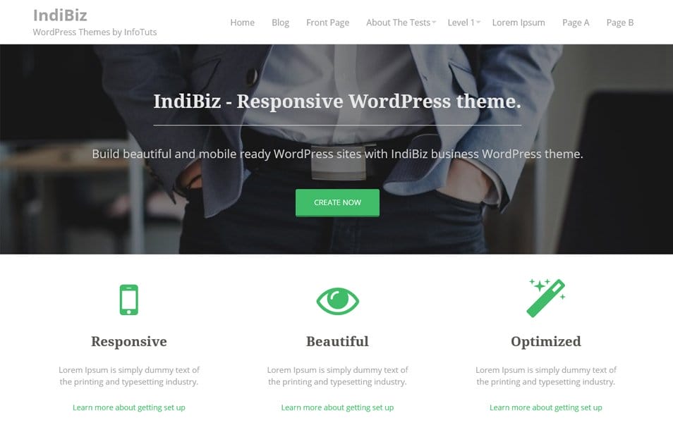 IndiBiz Responsive WordPress Theme