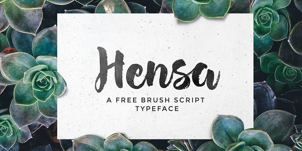 Hensa Brush Script Font