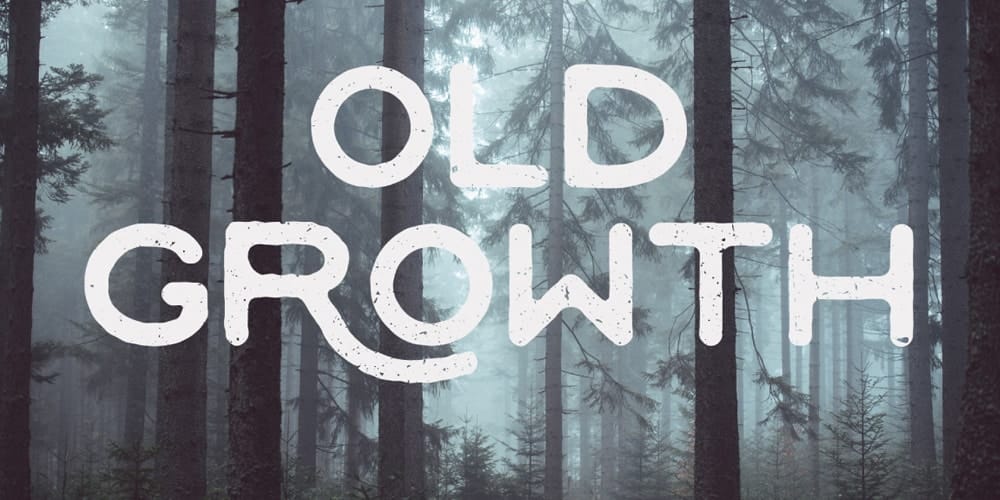Old-Growth-Font