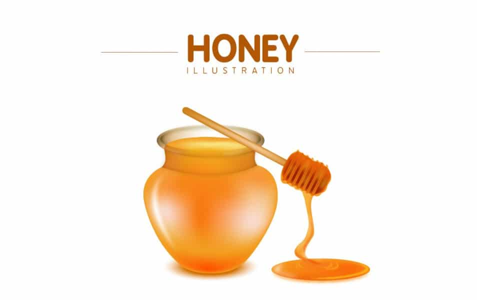 Honey Illustration