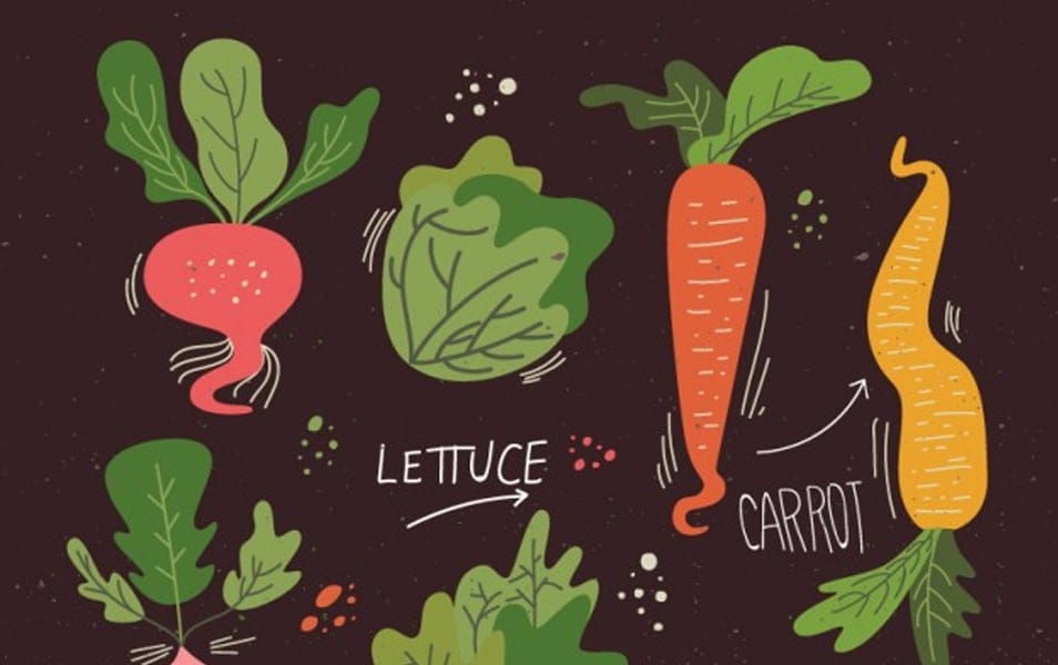 Illustrated Veggies Collection