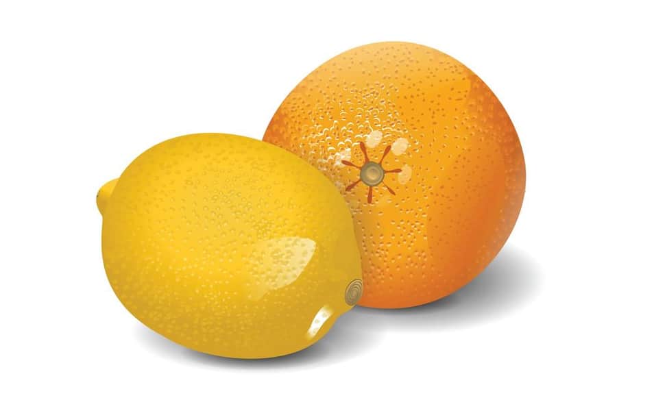Lemon & Orange Vector