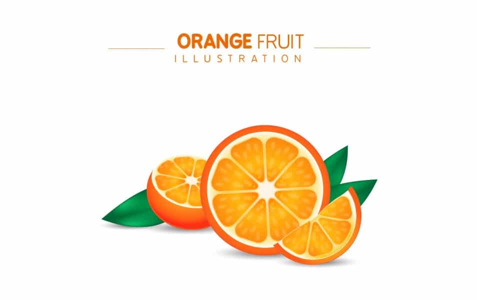 Orange Fruit Illustration