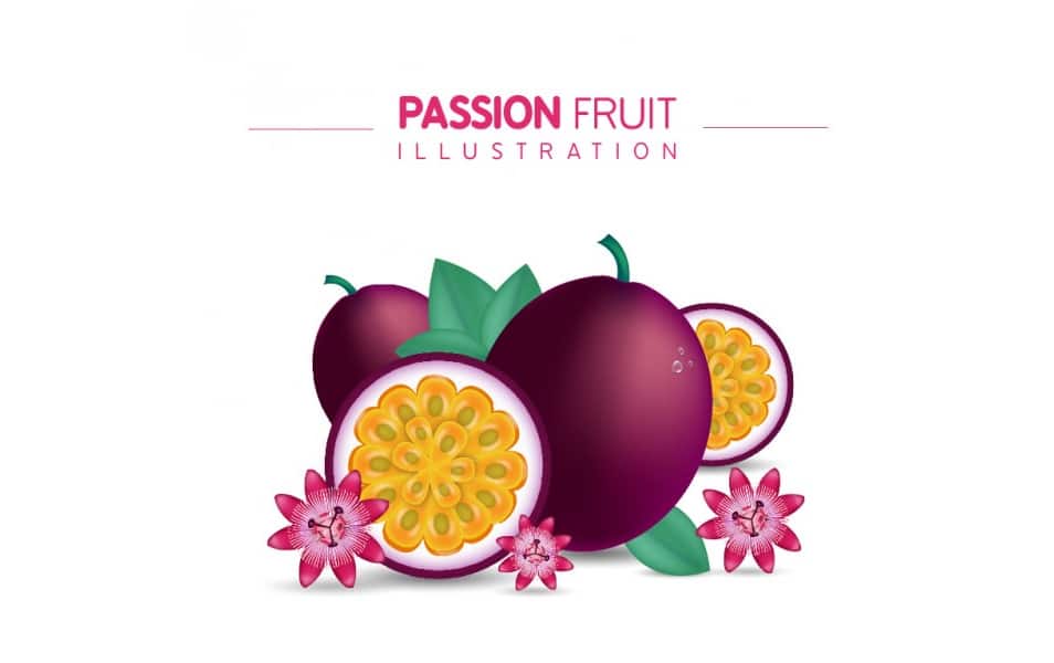 Passion Fruit Illustration