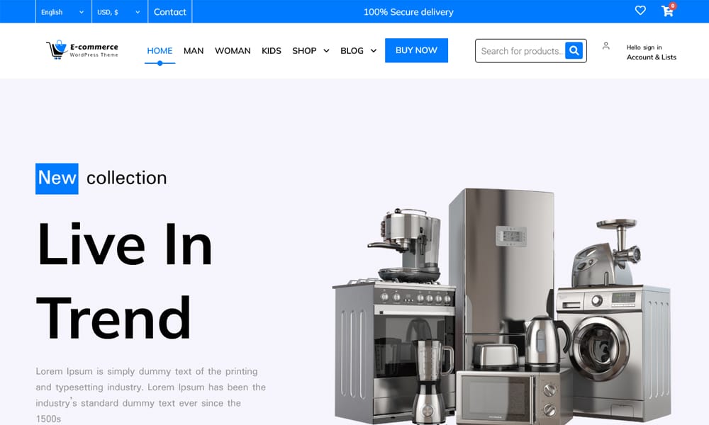 Ecommerce Store Elementor