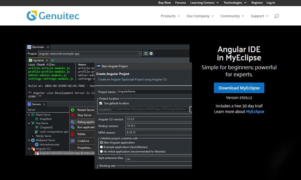 100+ Useful Angular JS Tools for Developers 7