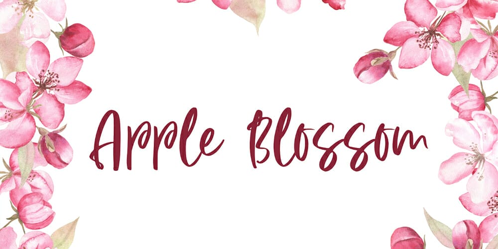 Apple Blossom Font