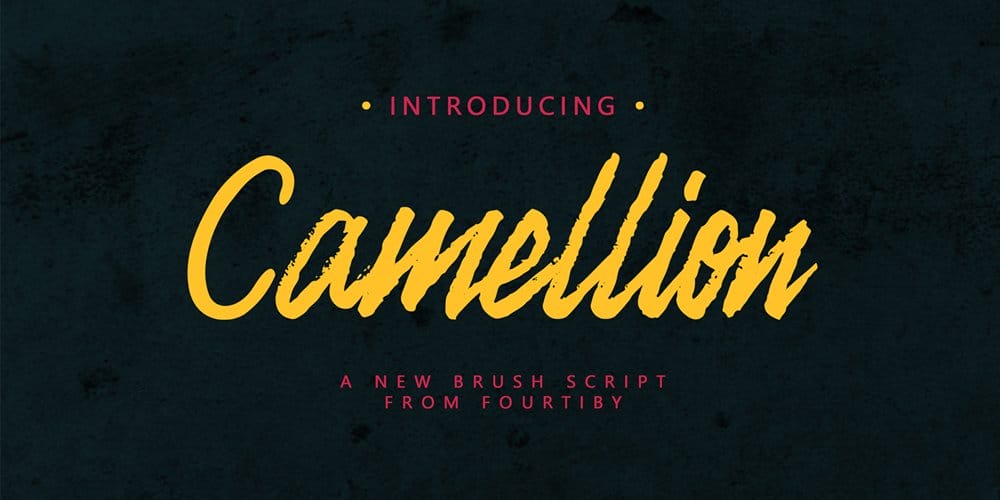Camellion Brush Script Typeface