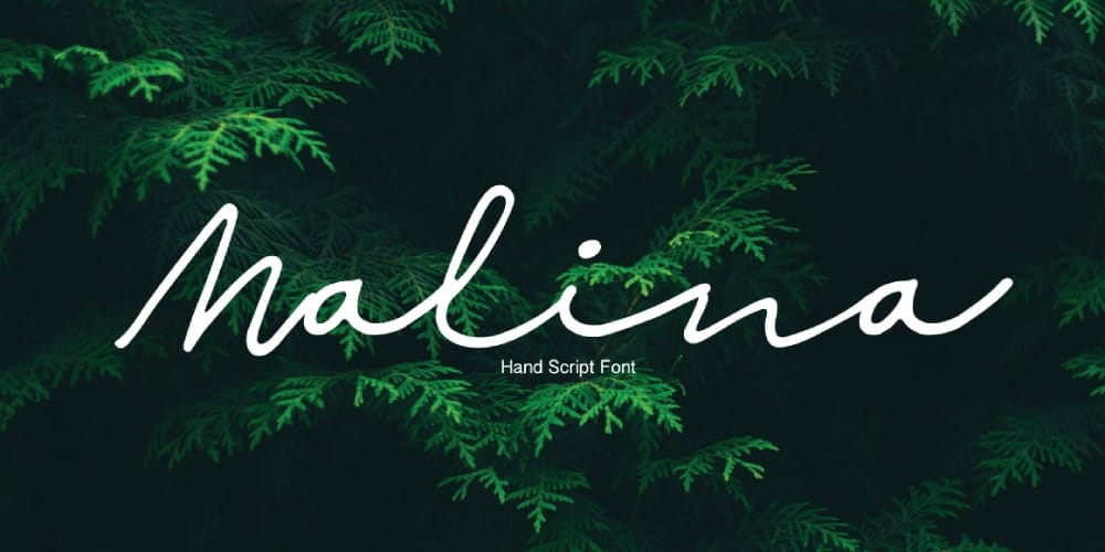 Malina Script Font