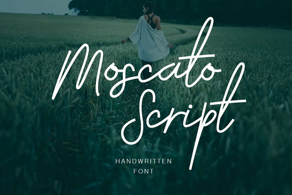 Moscato Script