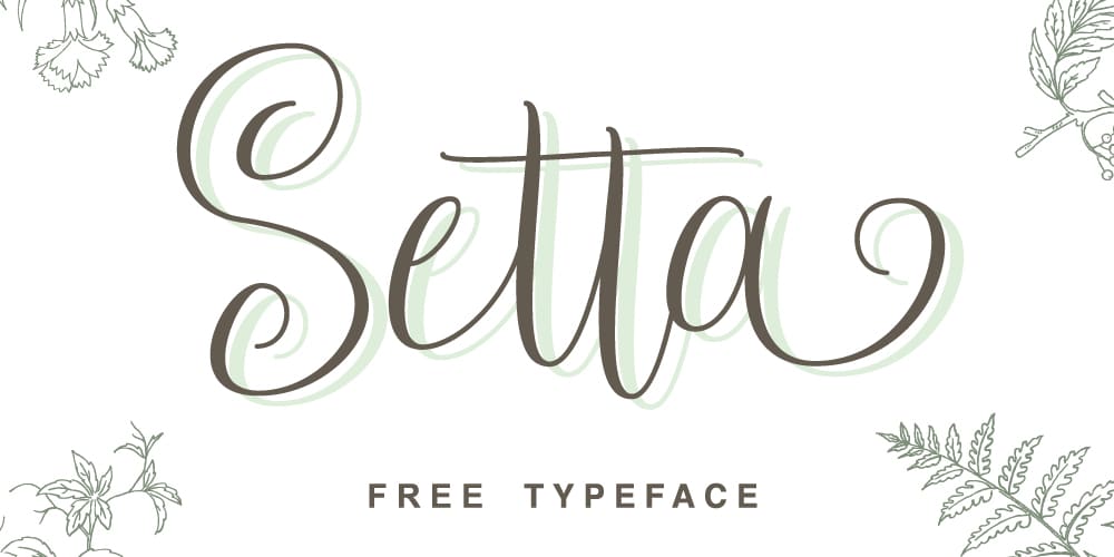 Setta Script Typeface