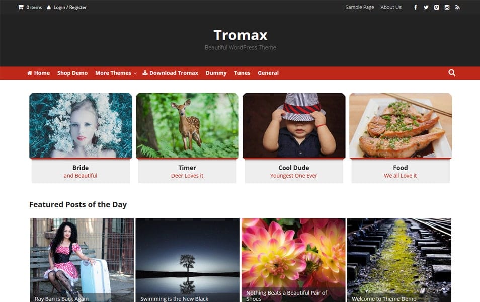 Tromax Responsive WordPress Theme